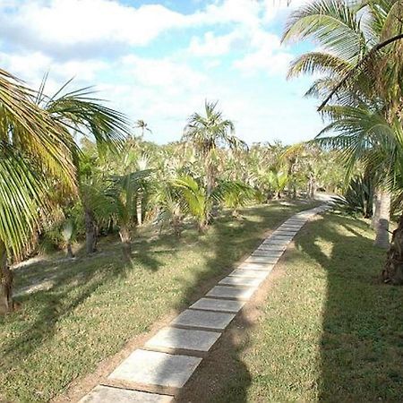 Rocks Retreat By Eleuthera Vacation Rentals Palmetto Point Exterior photo