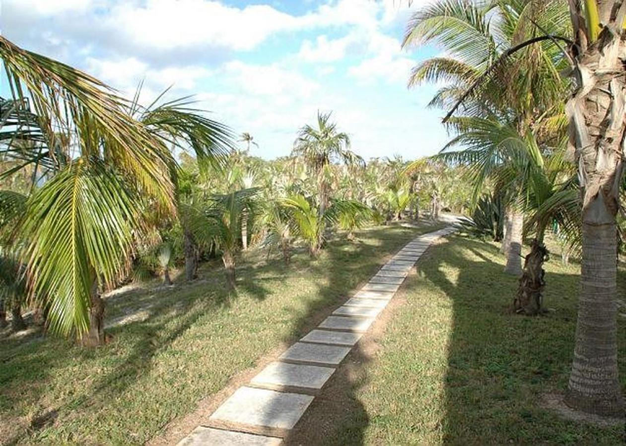 Rocks Retreat By Eleuthera Vacation Rentals Palmetto Point Exterior photo